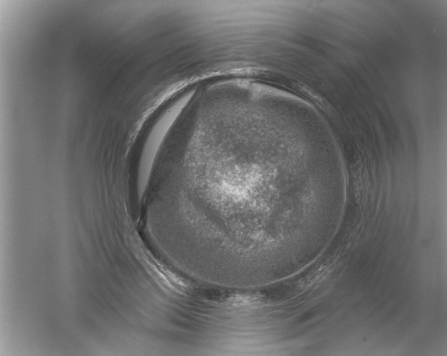 X0000052570350200507152258