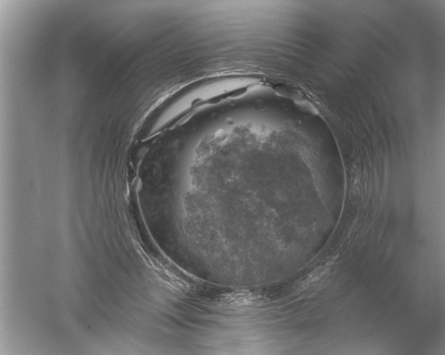 X0000052570351200507152258