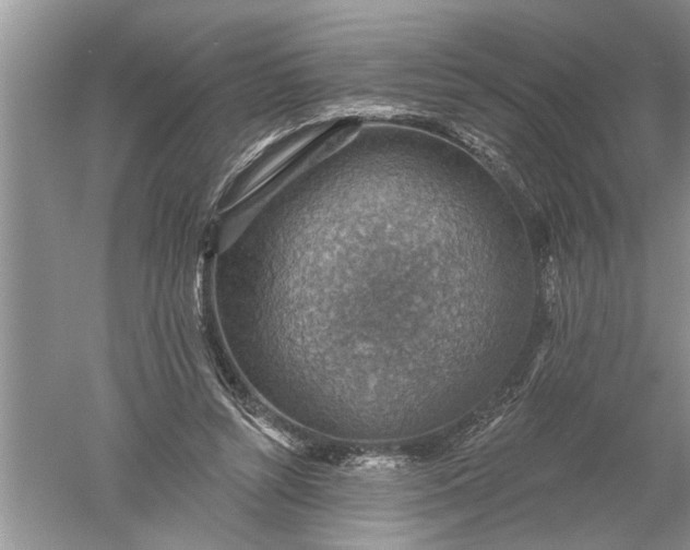 X0000052570352200507152258