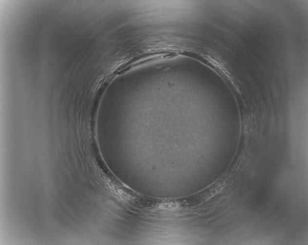 X0000052570353200507152258