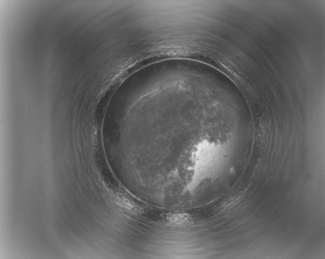 X0000052570355200507152258