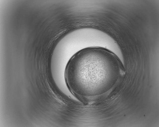 X0000052570356200507152258