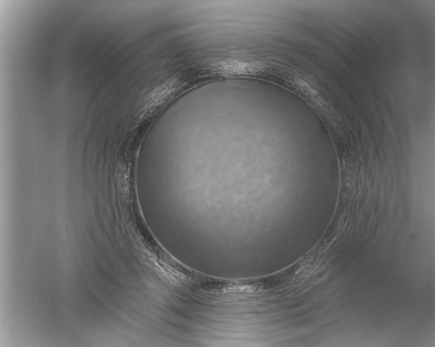 X0000052570357200507152258