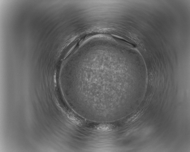 X0000052570358200507152258