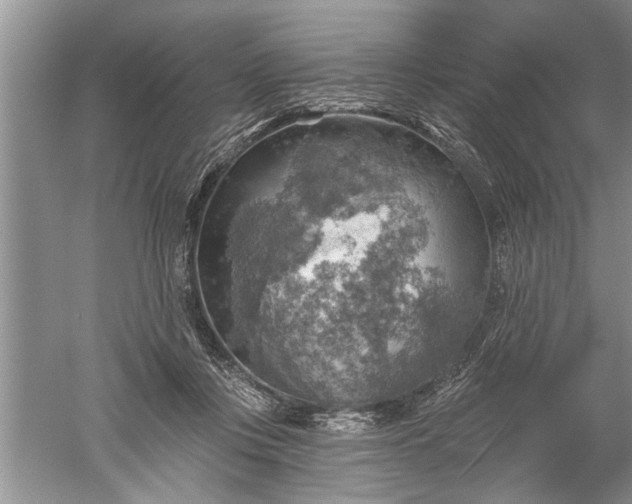 X0000052570359200507152258