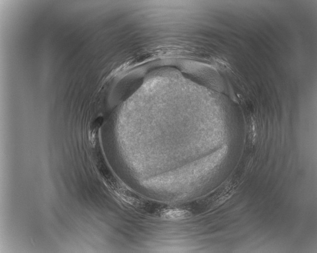 X0000052570360200507152258