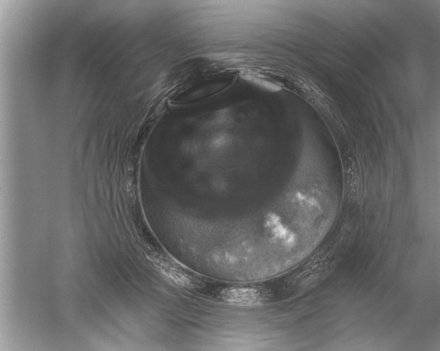 X0000052570361200507152258