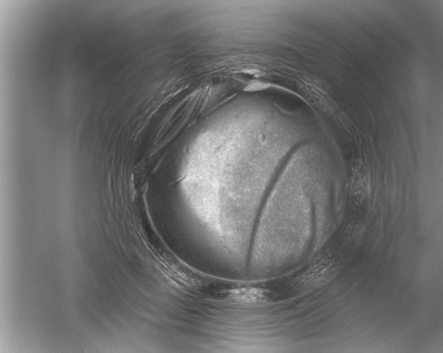 X0000052570363200507152258