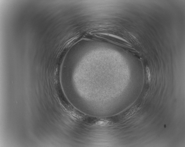 X0000052570364200507152258