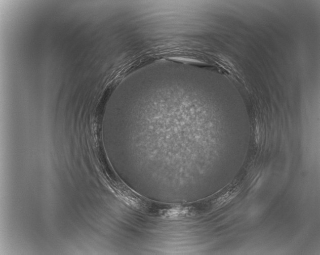 X0000052570366200507152258