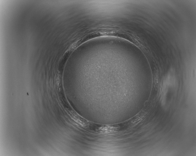 X0000052570367200507152258