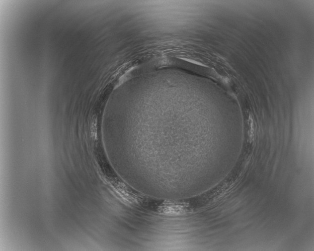 X0000052570368200507152258