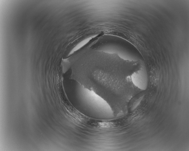 X0000052570371200507152258