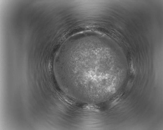 X0000052570372200507152258