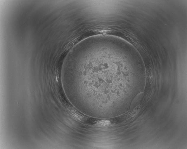 X0000052570374200507152258