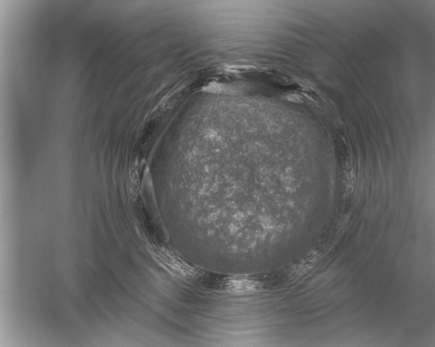 X0000052570376200507152258