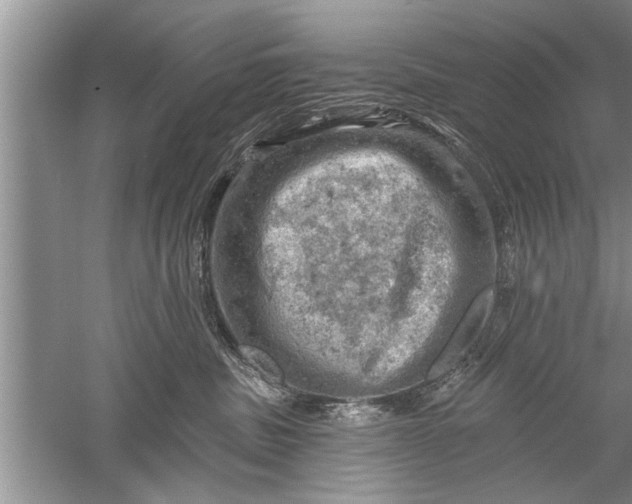 X0000052570379200507152258