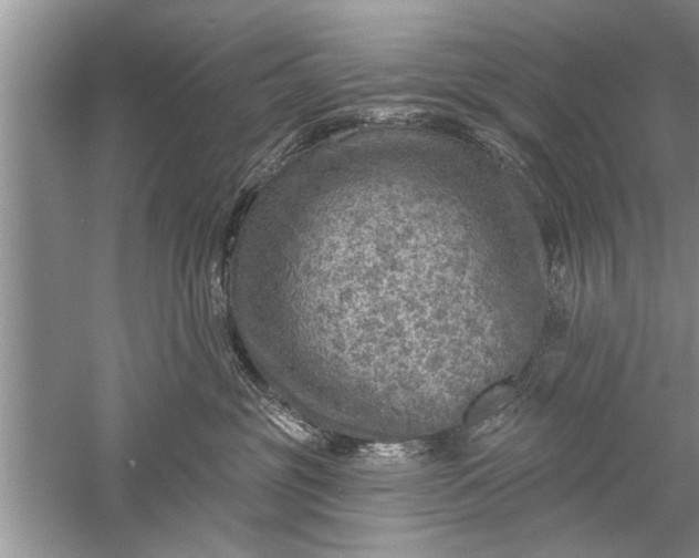 X0000052570381200507152258