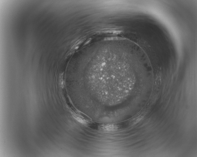 X0000052570383200507152258