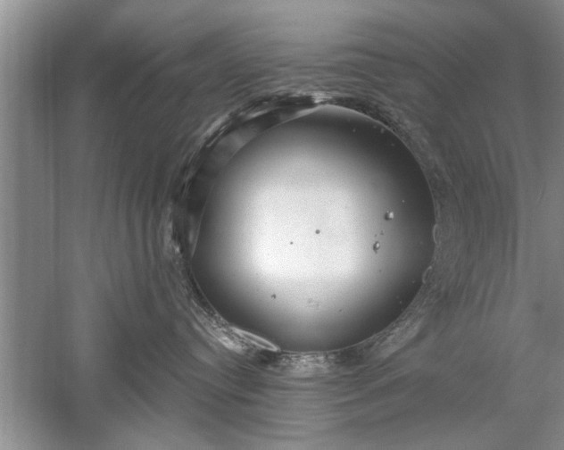 X0000052570384200507152258