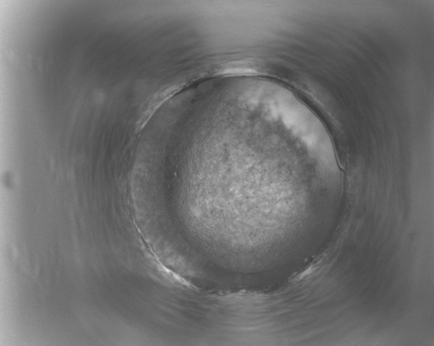 X0000052570385200507152258