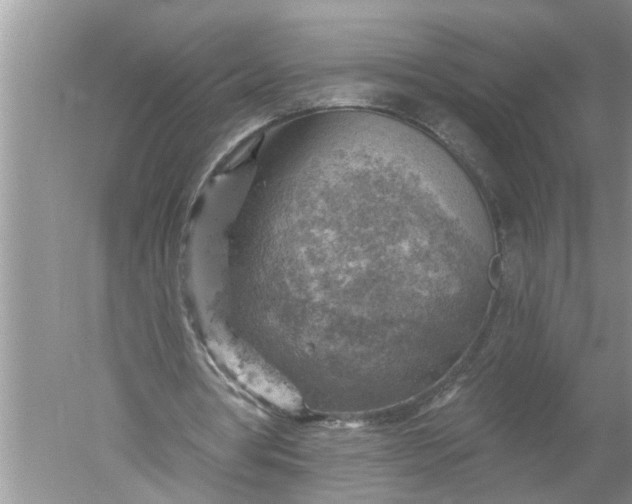 X0000052570386200507152258