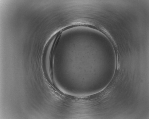 X0000052570387200507152258