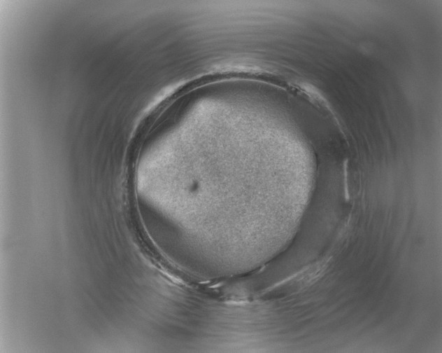 X0000052570388200507152258