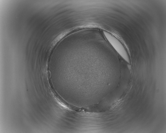 X0000052570389200507152258