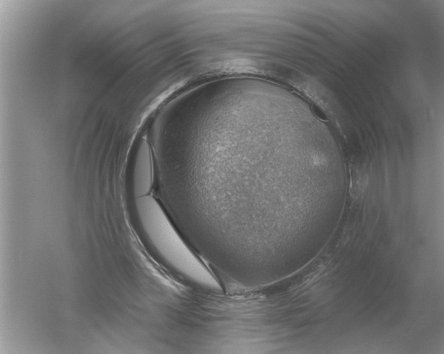 X0000052570390200507152258