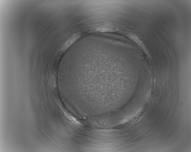 X0000052570393200507152257