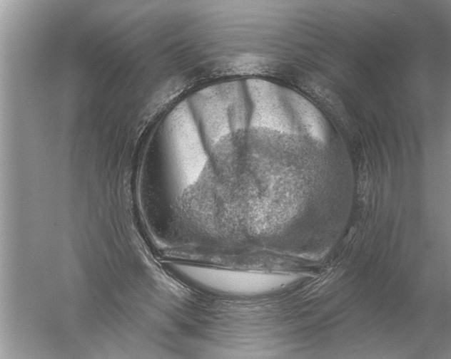 X0000052570394200507152257