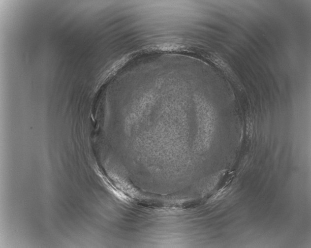 X0000052570397200507152257