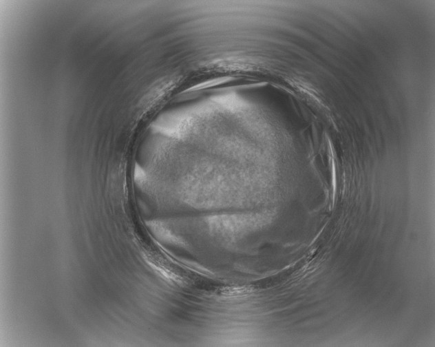 X0000052570398200507152257