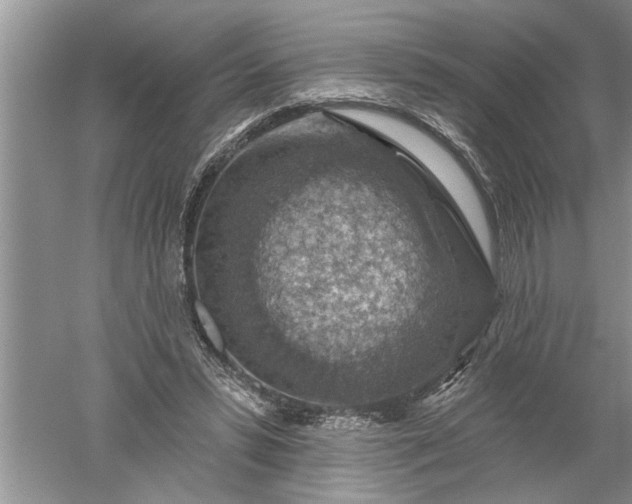 X0000052570399200507152257