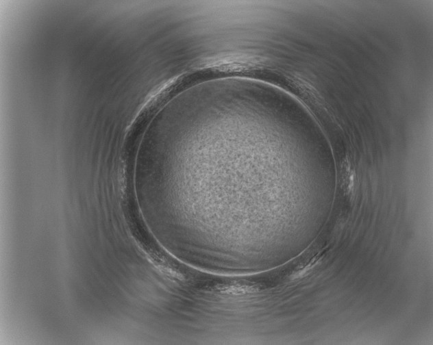 X0000052570400200507152257