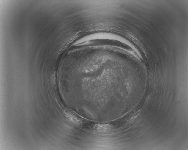 X0000052570401200507152257