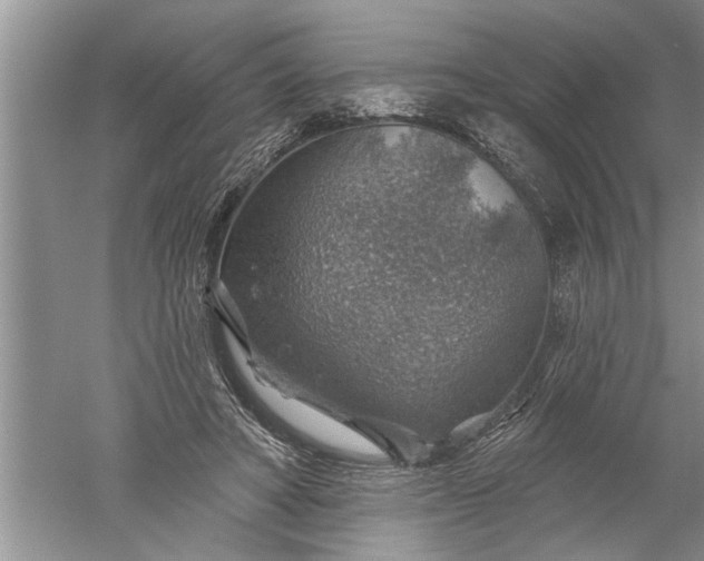 X0000052570402200507152257