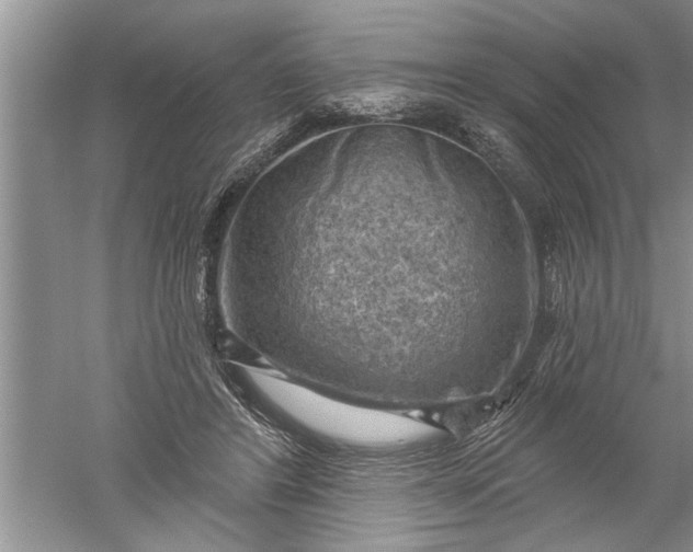 X0000052570404200507152257