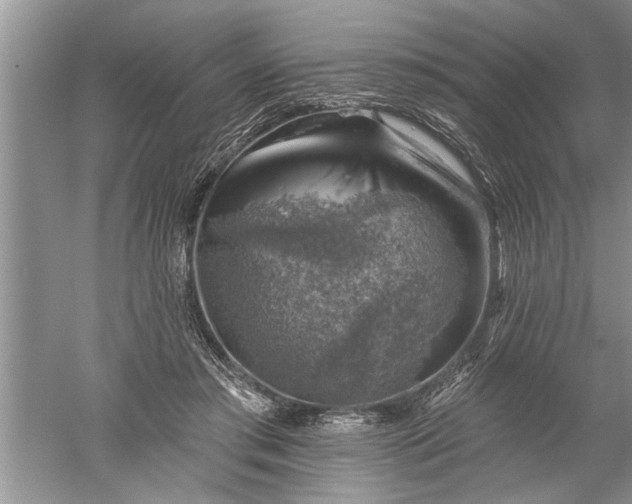 X0000052570405200507152257