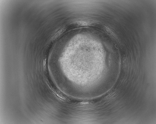 X0000052570406200507152257