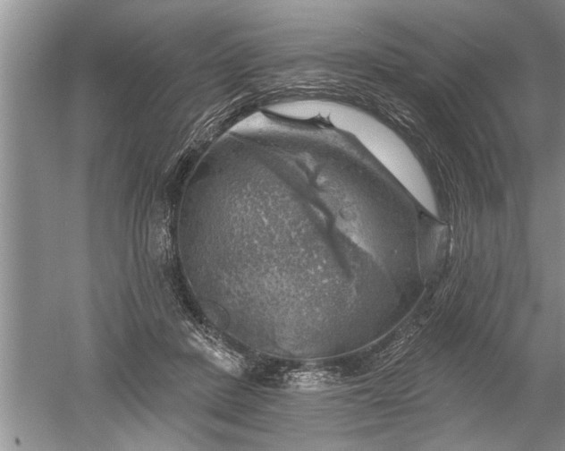 X0000052570408200507152257