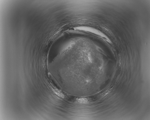 X0000052570409200507152257