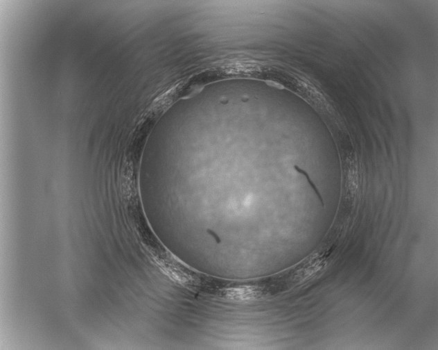 X0000052570411200507152257