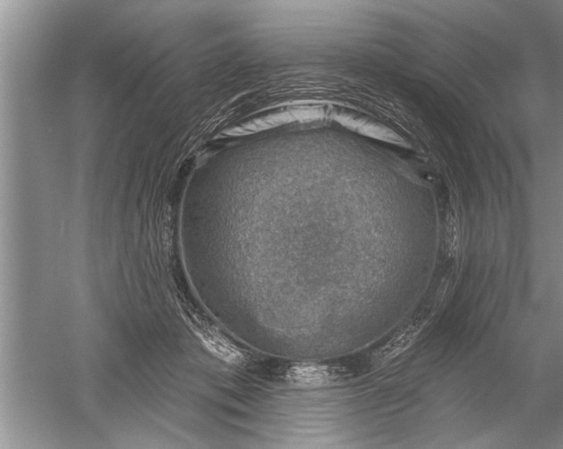 X0000052570413200507152257