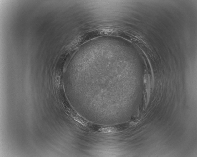 X0000052570417200507152257