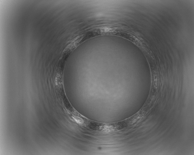 X0000052570419200507152257