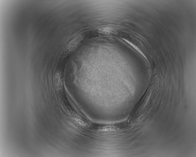 X0000052570420200507152257