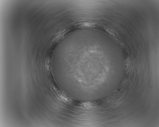 X0000052570423200507152257