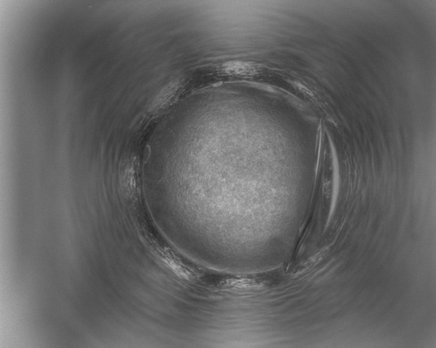 X0000052570424200507152257